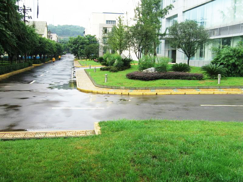 蘇州小區(qū)綠化養(yǎng)護知識基本常識？