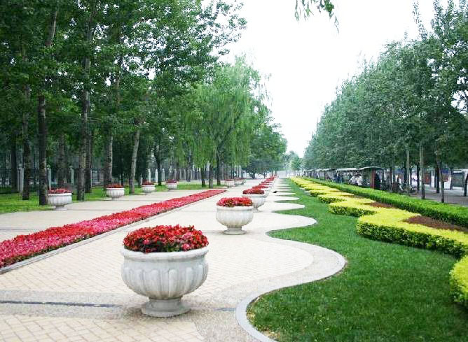 景觀園林綠化養(yǎng)護技術(shù)