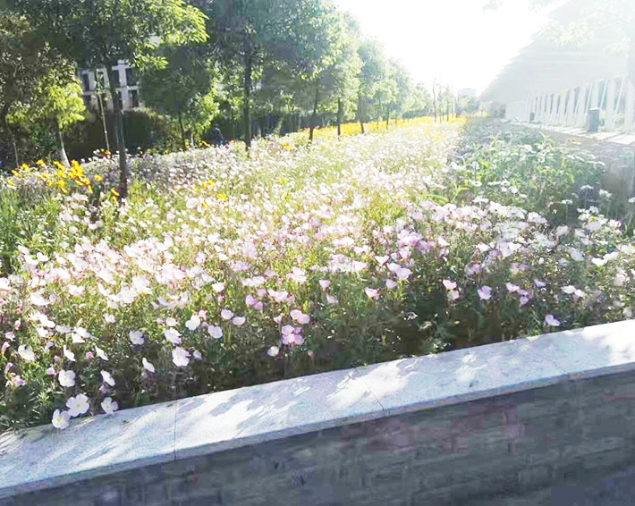 園林綠化的這些好處，你知道嗎？