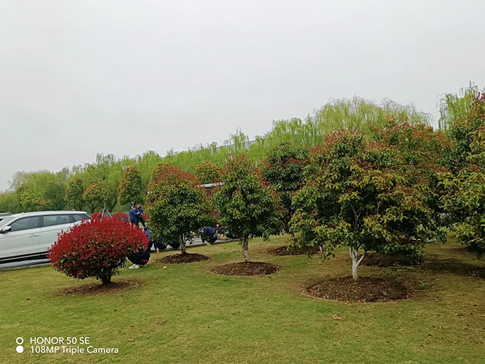 泰科電子科技（蘇州工業(yè)園區(qū)）有限公司   養(yǎng)護(hù)現(xiàn)場(chǎng)