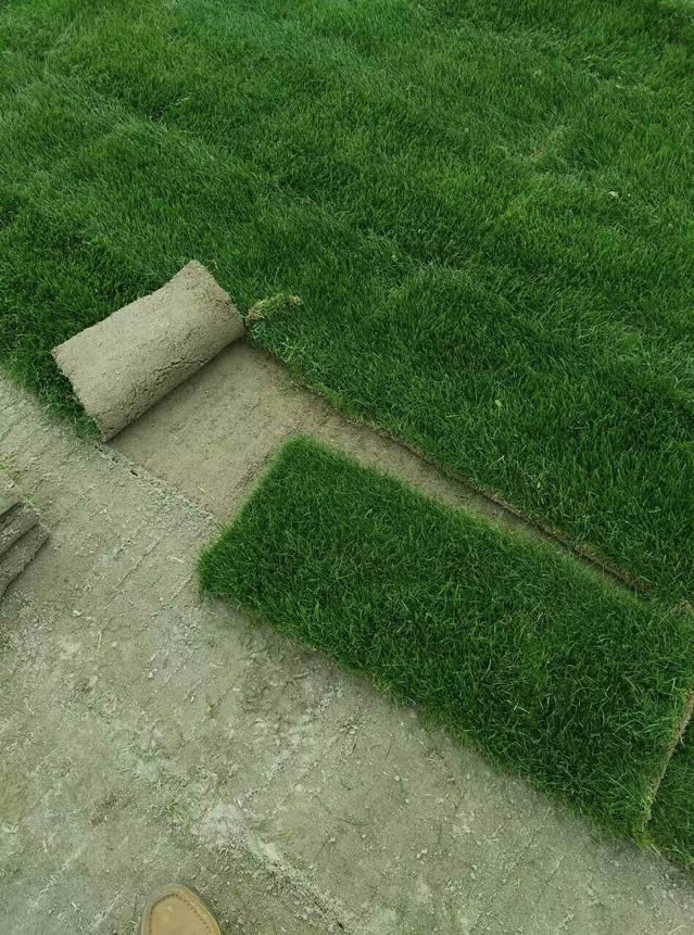 樣品草場(chǎng)